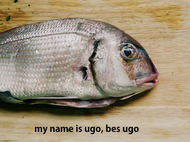 Besugo al Horno muy fácil: my name is Ugo